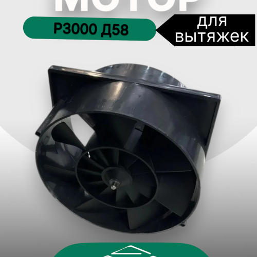 Мотор P3000 Д58